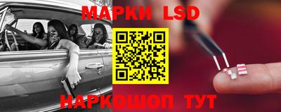 прущие грибы Комсомольск-на-Амуре