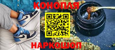 прущие грибы Комсомольск-на-Амуре