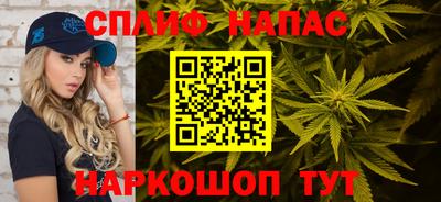 прущие грибы Комсомольск-на-Амуре